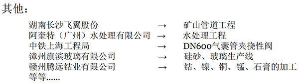 衬胶楔型闸阀业绩