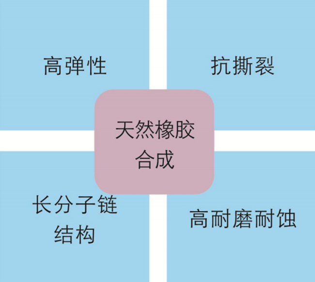 管夹阀胶管特点